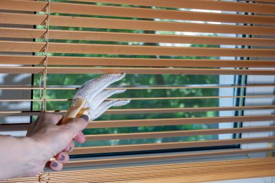 Cellular Blinds Cleaning in Billings, MT